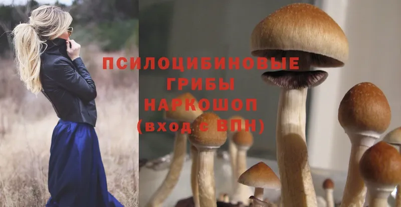 где найти наркотики  Бронницы  Галлюциногенные грибы Magic Shrooms 